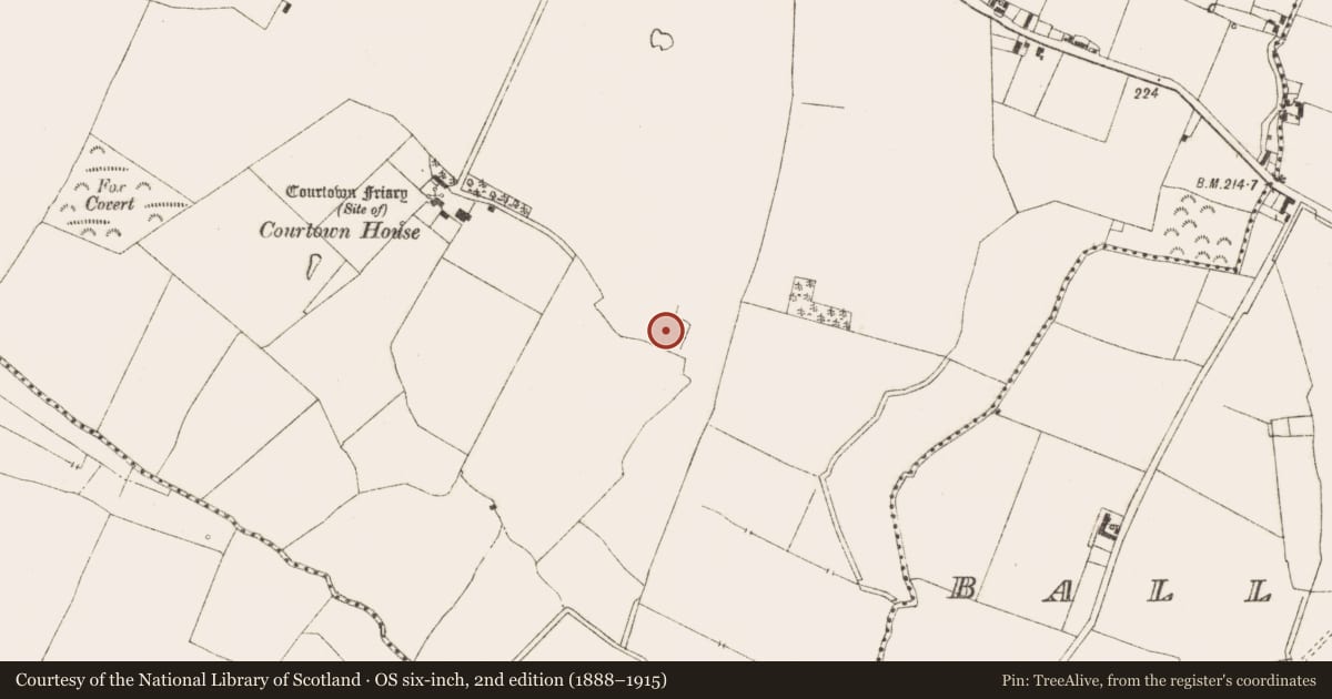 Ordnance Survey six-inch map, 2nd edition (1888–1915) covering the location of Enclosure, Meadstown, County Meath, with a pin at the register's coordinates