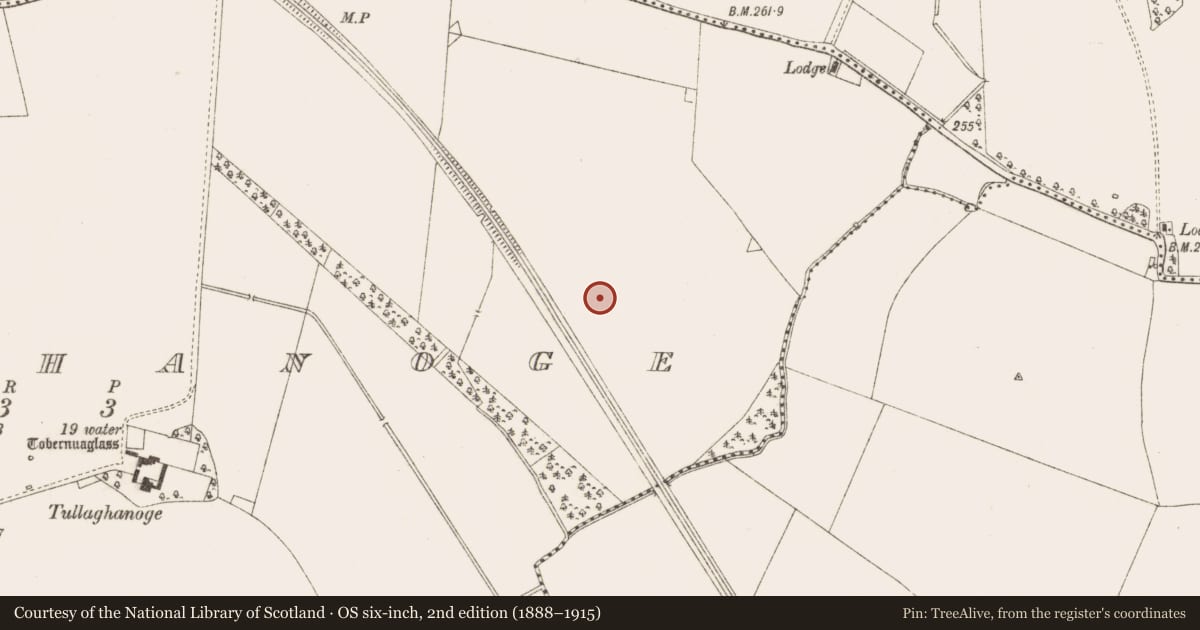 Ordnance Survey six-inch map, 2nd edition (1888–1915) covering the location of Enclosure, Tulach Chonóg, County Meath, with a pin at the register's coordinates