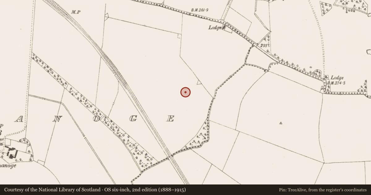 Ordnance Survey six-inch map, 2nd edition (1888–1915) covering the location of Enclosure, Tulach Chonóg, County Meath, with a pin at the register's coordinates