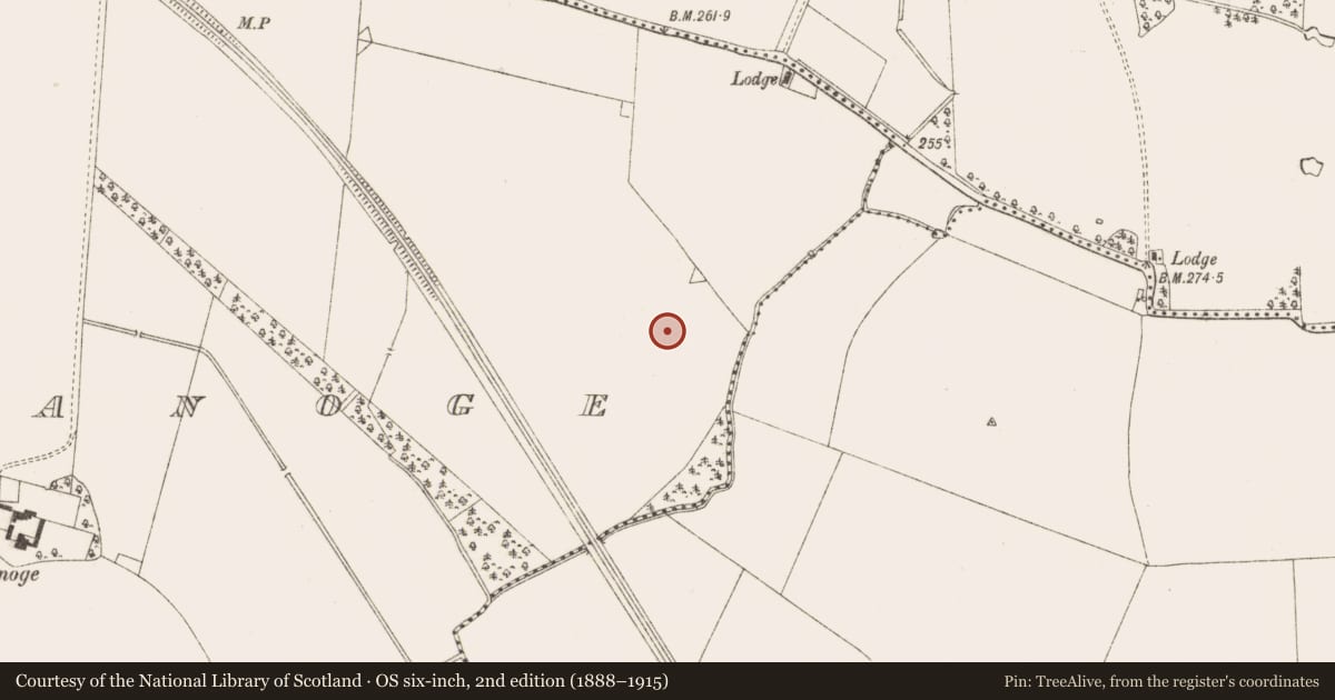Ordnance Survey six-inch map, 2nd edition (1888–1915) covering the location of Enclosure, Tulach Chonóg, County Meath, with a pin at the register's coordinates
