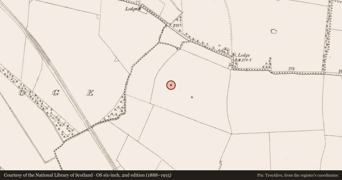 Ordnance Survey six-inch map, 2nd edition (1888–1915) covering the location of Enclosure, Moymet, County Meath, with a pin at the register's coordinates