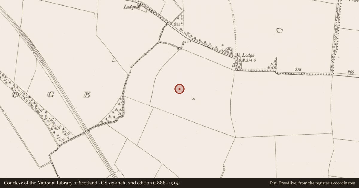 Ordnance Survey six-inch map, 2nd edition (1888–1915) covering the location of Enclosure, Moymet, County Meath, with a pin at the register's coordinates