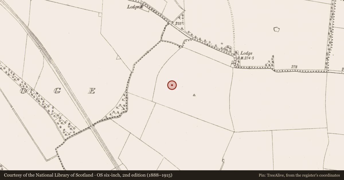 Ordnance Survey six-inch map, 2nd edition (1888–1915) covering the location of Enclosure - large enclosure, Moymet, County Meath, with a pin at the register's coordinates