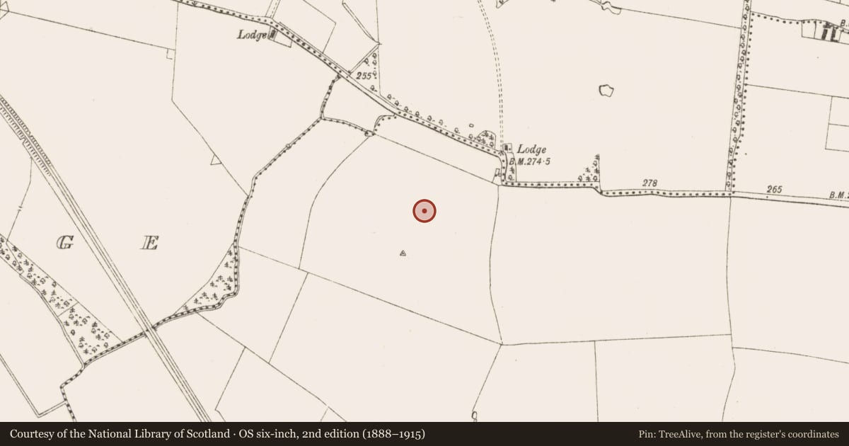 Ordnance Survey six-inch map, 2nd edition (1888–1915) covering the location of Enclosure, Moymet, County Meath, with a pin at the register's coordinates