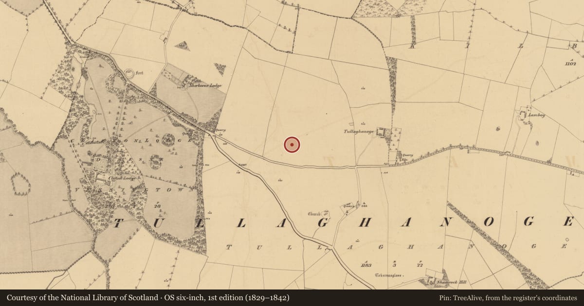 Ordnance Survey six-inch map, 1st edition (1829–1842) covering the location of Ringfort - rath, Tulach Chonóg, County Meath, with a pin at the register's coordinates