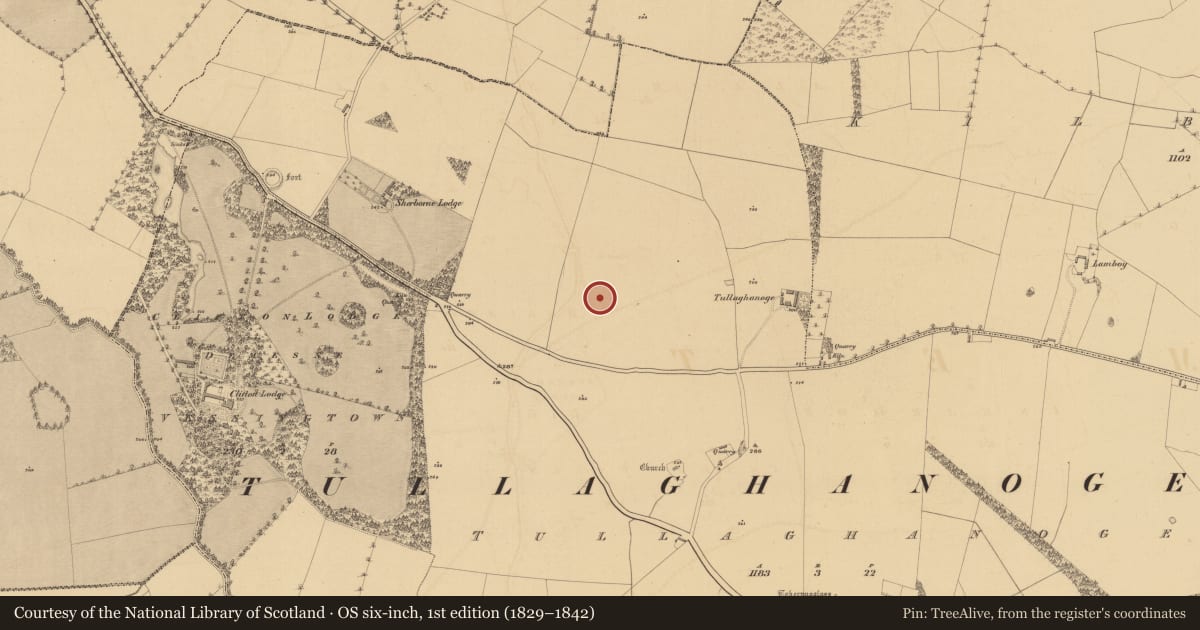 Ordnance Survey six-inch map, 1st edition (1829–1842) covering the location of Ring-ditch, Tulach Chonóg, County Meath, with a pin at the register's coordinates
