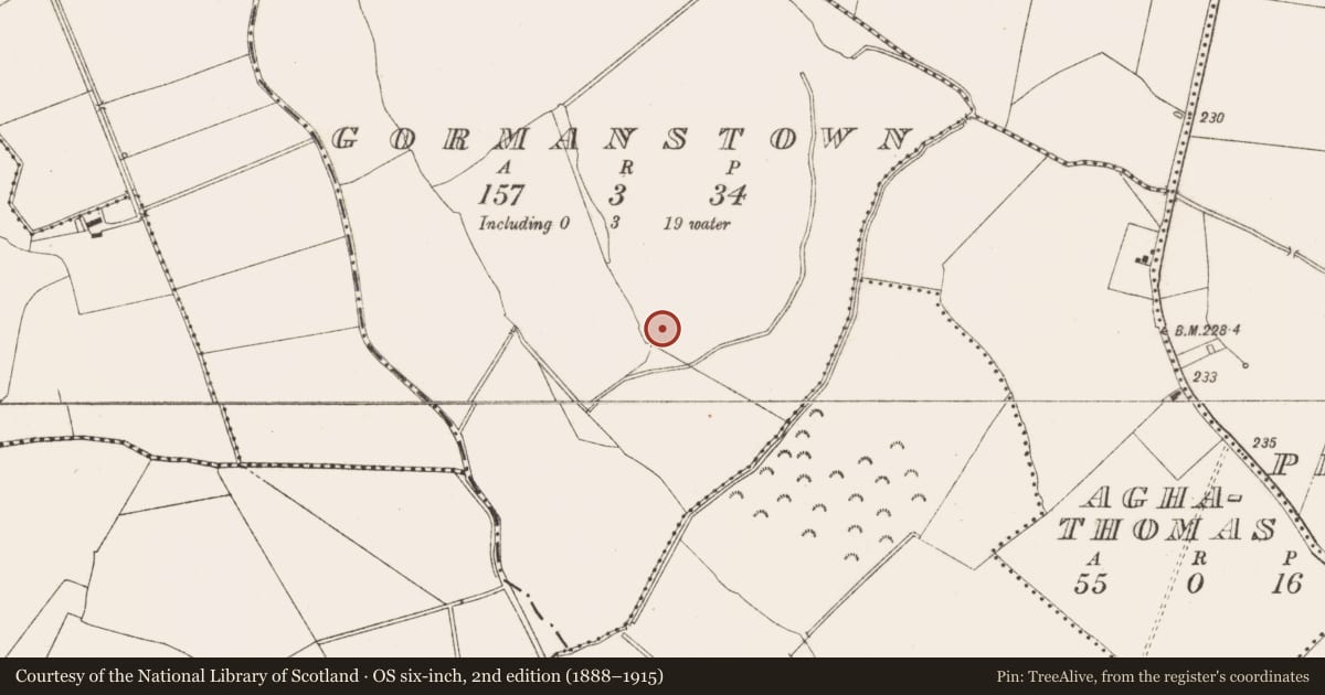 Ordnance Survey six-inch map, 2nd edition (1888–1915) covering the location of Ringfort - rath, Gormanstown, County Meath, with a pin at the register's coordinates