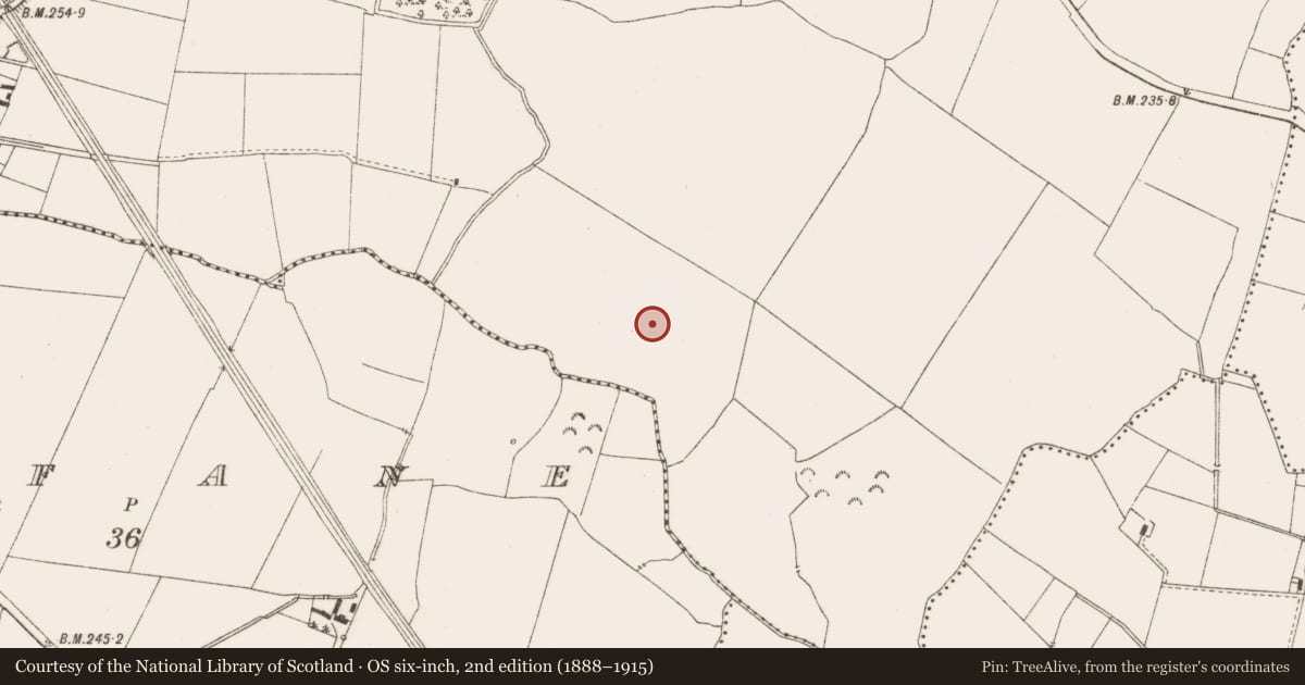 Ordnance Survey six-inch map, 2nd edition (1888–1915) covering the location of Enclosure - large enclosure, Moymet, County Meath, with a pin at the register's coordinates