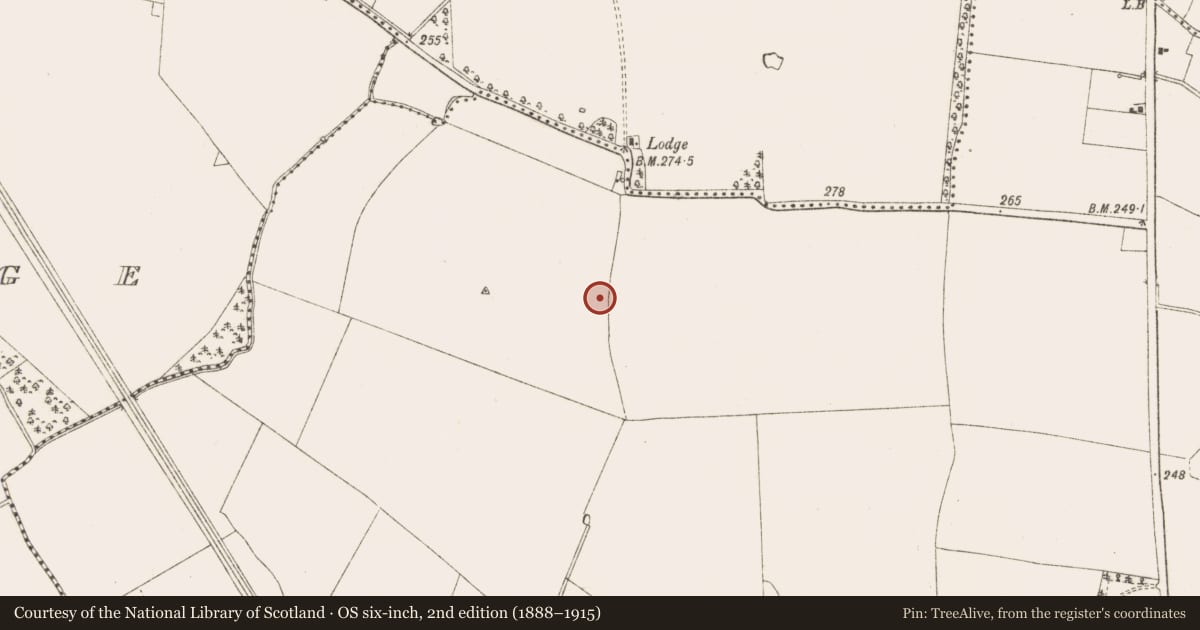 Ordnance Survey six-inch map, 2nd edition (1888–1915) covering the location of Ring-ditch, Moymet, County Meath, with a pin at the register's coordinates
