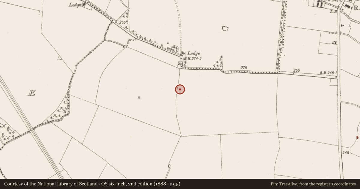 Ordnance Survey six-inch map, 2nd edition (1888–1915) covering the location of Ring-ditch, Moymet, County Meath, with a pin at the register's coordinates