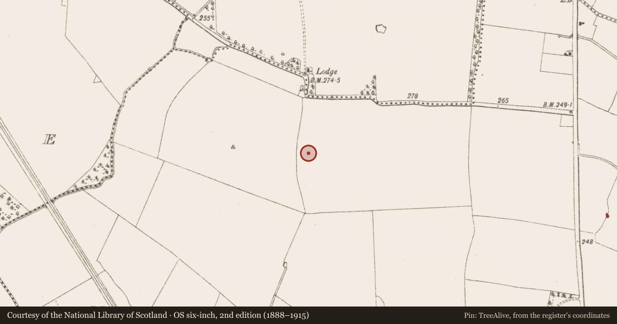 Ordnance Survey six-inch map, 2nd edition (1888–1915) covering the location of Ring-ditch, Moymet, County Meath, with a pin at the register's coordinates
