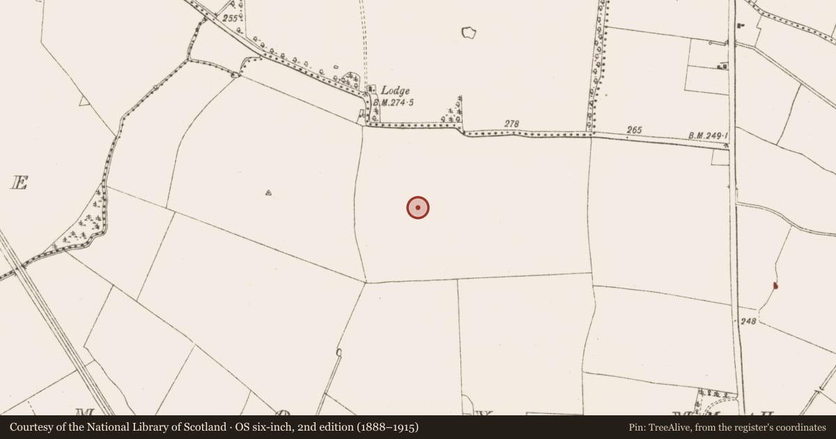 Ordnance Survey six-inch map, 2nd edition (1888–1915) covering the location of Ring-ditch, Moymet, County Meath, with a pin at the register's coordinates