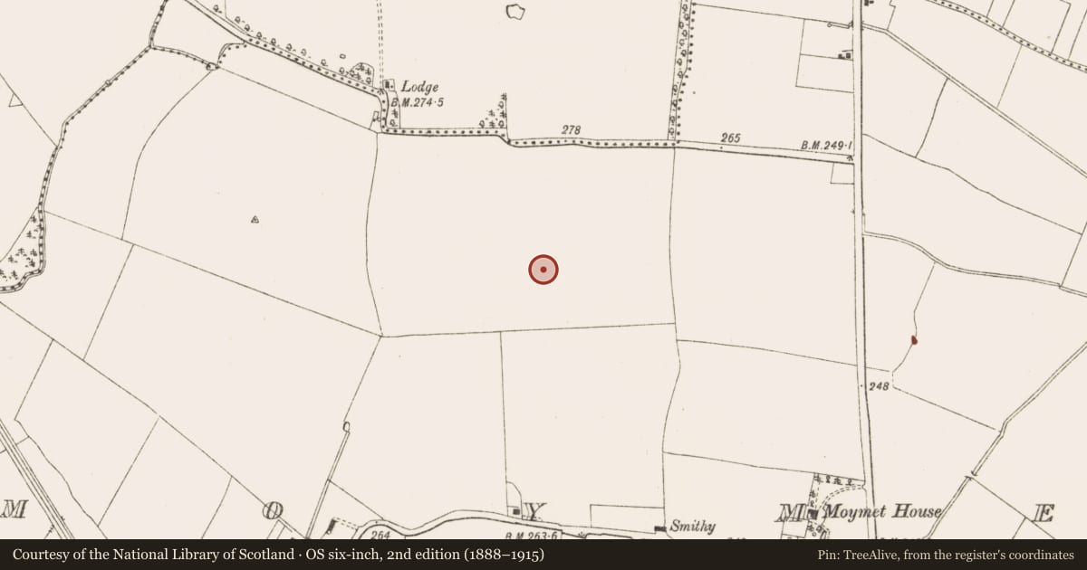 Ordnance Survey six-inch map, 2nd edition (1888–1915) covering the location of Ring-ditch, Moymet, County Meath, with a pin at the register's coordinates