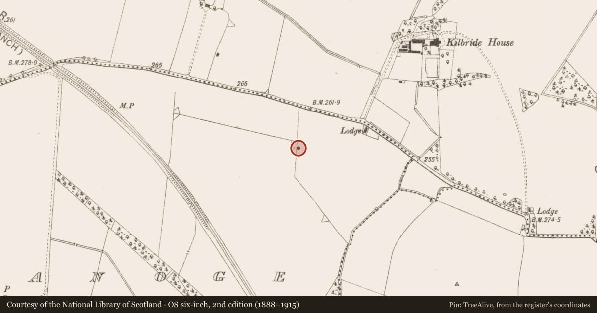 Ordnance Survey six-inch map, 2nd edition (1888–1915) covering the location of Ring-ditch, Tulach Chonóg, County Meath, with a pin at the register's coordinates