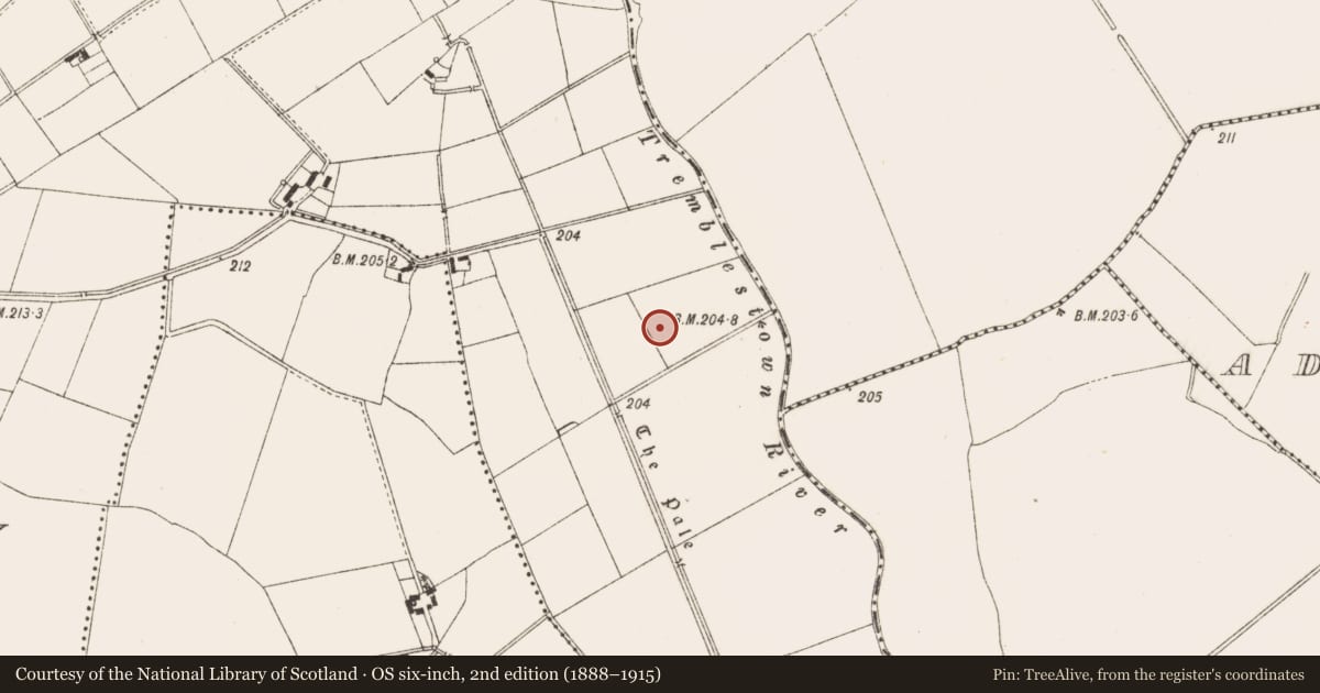 Ordnance Survey six-inch map, 2nd edition (1888–1915) covering the location of Enclosure, Kildalkey, County Meath, with a pin at the register's coordinates