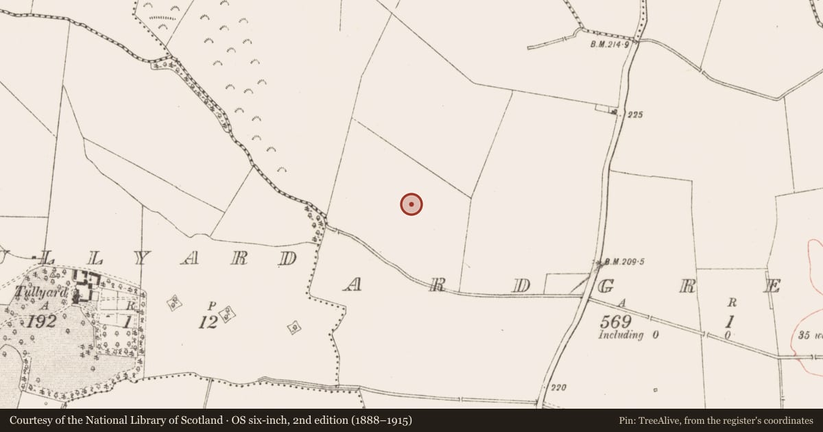 Ordnance Survey six-inch map, 2nd edition (1888–1915) covering the location of Enclosure, Ardgreagh, County Meath, with a pin at the register's coordinates