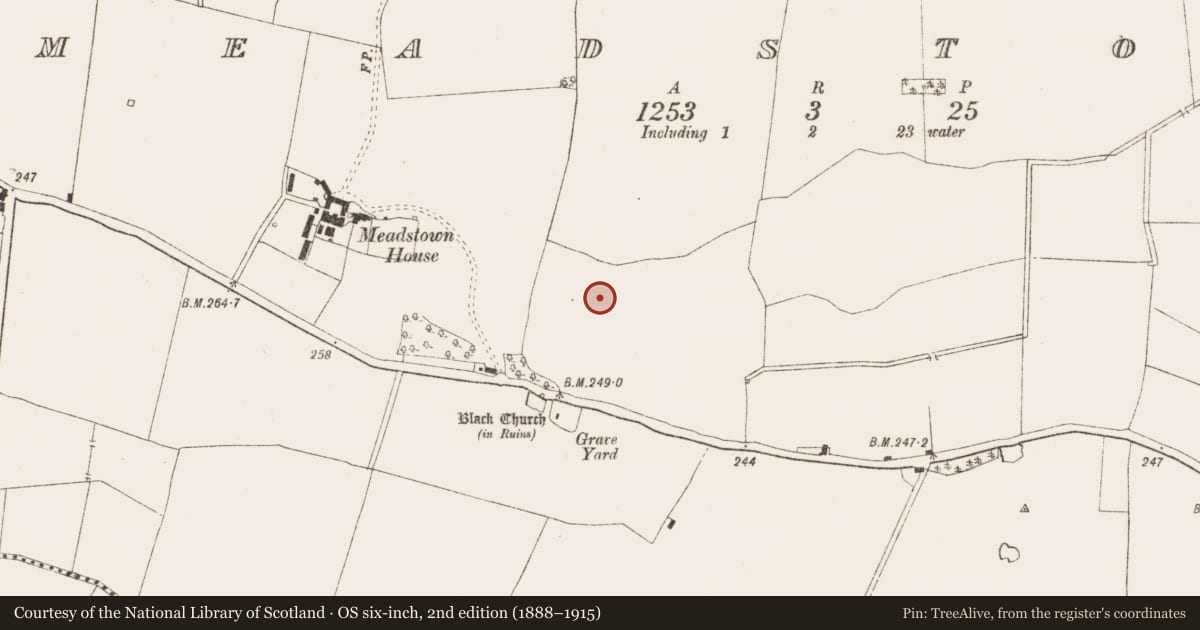 Ordnance Survey six-inch map, 2nd edition (1888–1915) covering the location of Enclosure, Meadstown, County Meath, with a pin at the register's coordinates