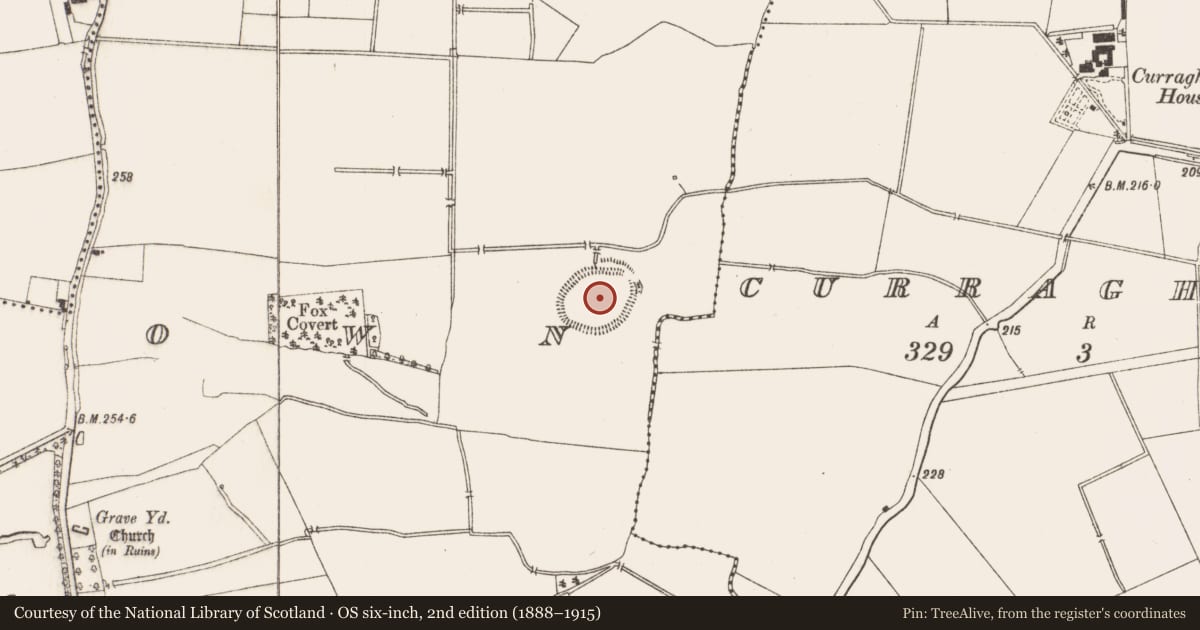 Ordnance Survey six-inch map, 2nd edition (1888–1915) covering the location of Enclosure - large enclosure, Churchtown, County Meath, with a pin at the register's coordinates