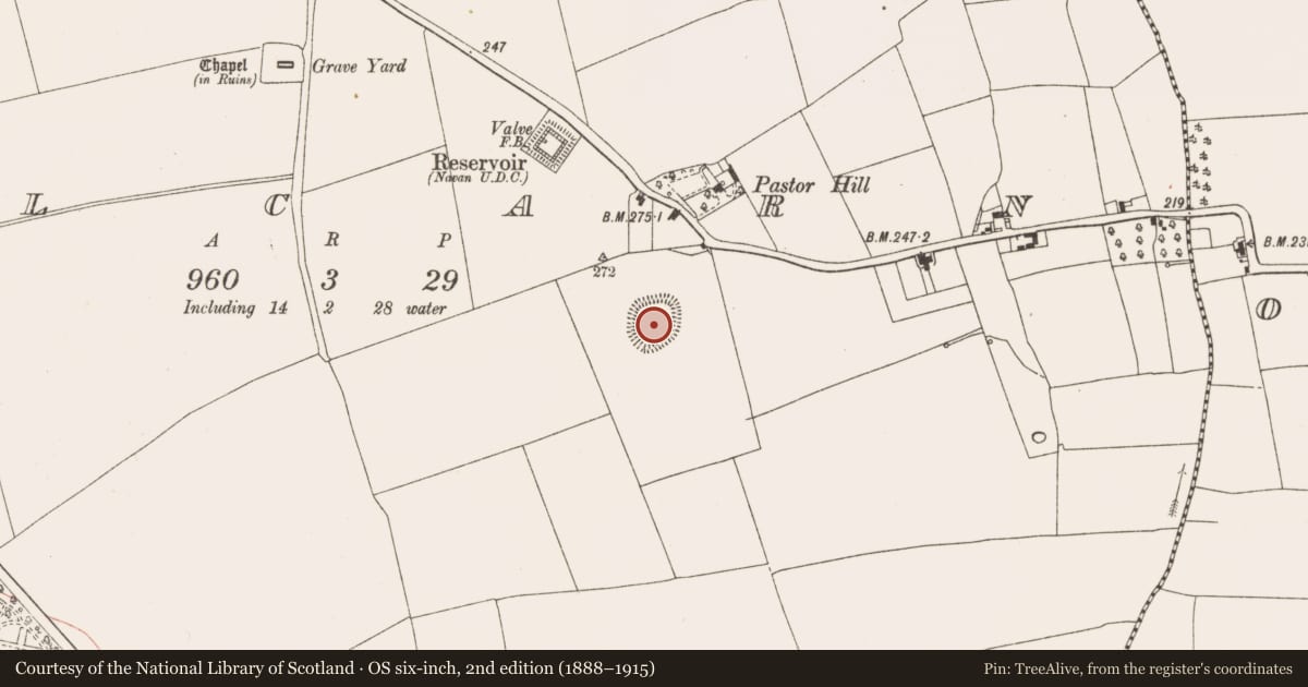 Ordnance Survey six-inch map, 2nd edition (1888–1915) covering the location of Ringfort - rath, Kilcarn, County Meath, with a pin at the register's coordinates