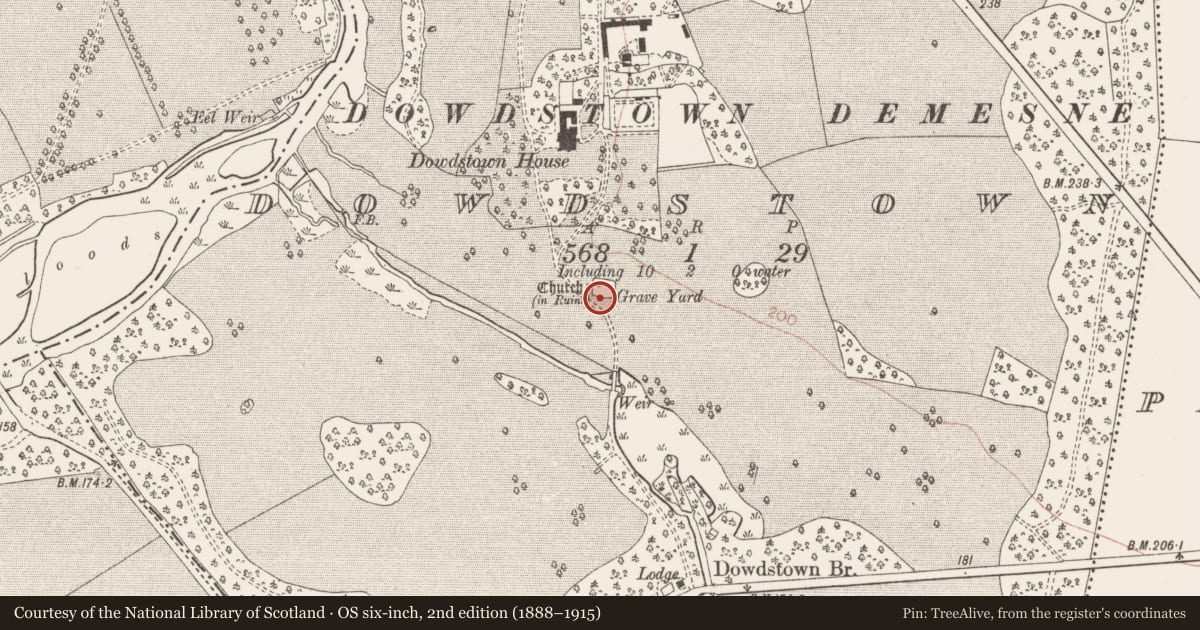 Ordnance Survey six-inch map, 2nd edition (1888–1915) covering the location of Graveyard, Dowdstown (Skreen By., Dowdstown Par.), County Meath, with a pin at the register's coordinates