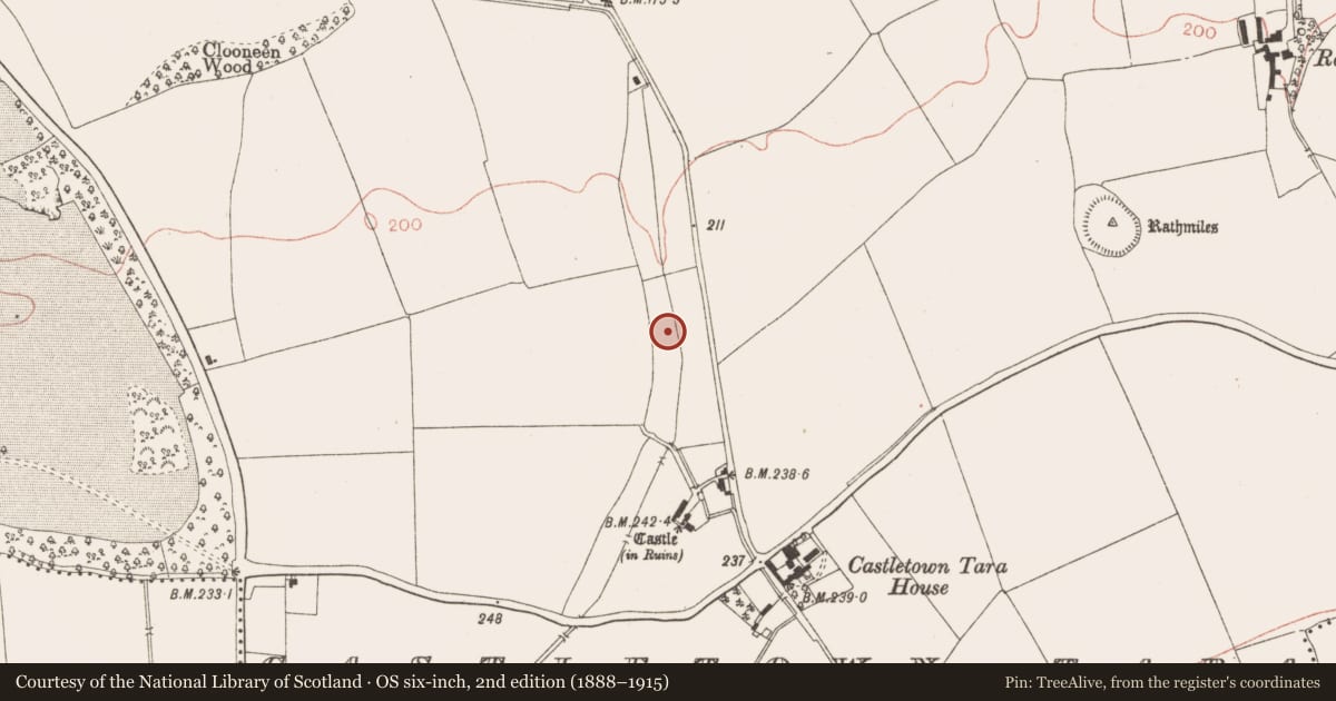 Ordnance Survey six-inch map, 2nd edition (1888–1915) covering the location of Souterrain, Castletown Tara, County Meath, with a pin at the register's coordinates