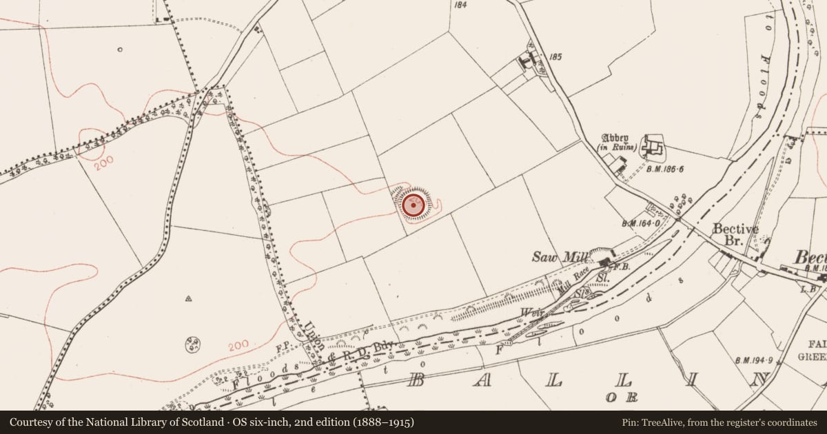 Ordnance Survey six-inch map, 2nd edition (1888–1915) covering the location of Ringfort - rath, Bective, County Meath, with a pin at the register's coordinates