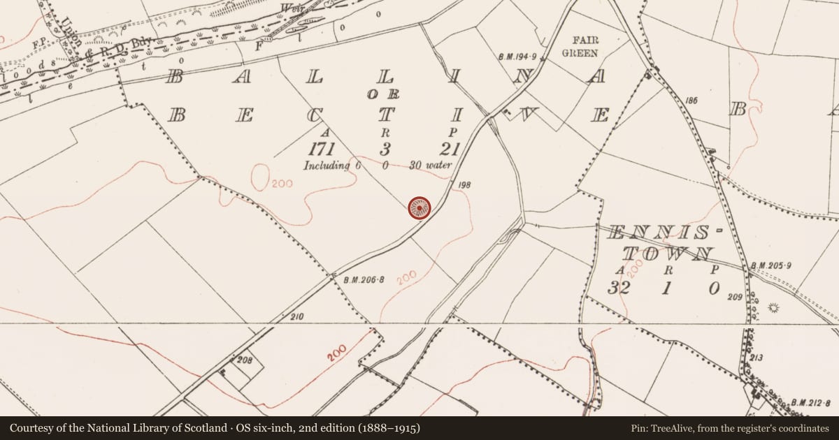 Ordnance Survey six-inch map, 2nd edition (1888–1915) covering the location of Earthwork, Ballina Or Bective, County Meath, with a pin at the register's coordinates