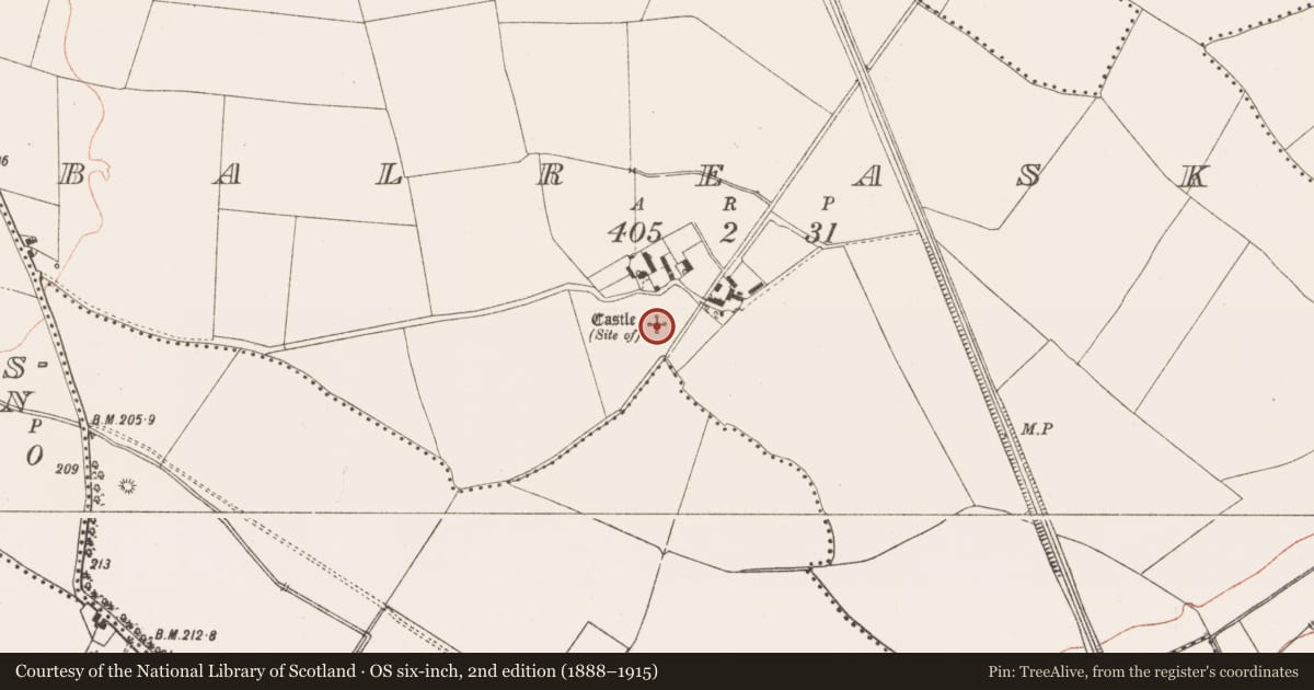 Ordnance Survey six-inch map, 2nd edition (1888–1915) covering the location of Castle - unclassified, Balreask, County Meath, with a pin at the register's coordinates