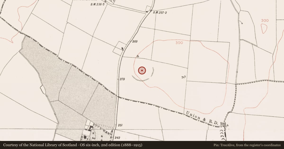 Ordnance Survey six-inch map, 2nd edition (1888–1915) covering the location of Henge, Riverstown, County Meath, with a pin at the register's coordinates
