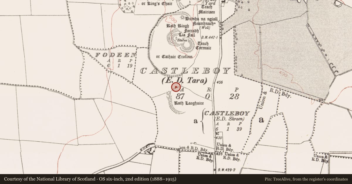 Ordnance Survey six-inch map, 2nd edition (1888–1915) covering the location of Ring-ditch, Castleboy (Skreen By., Tara Par.), County Meath, with a pin at the register's coordinates