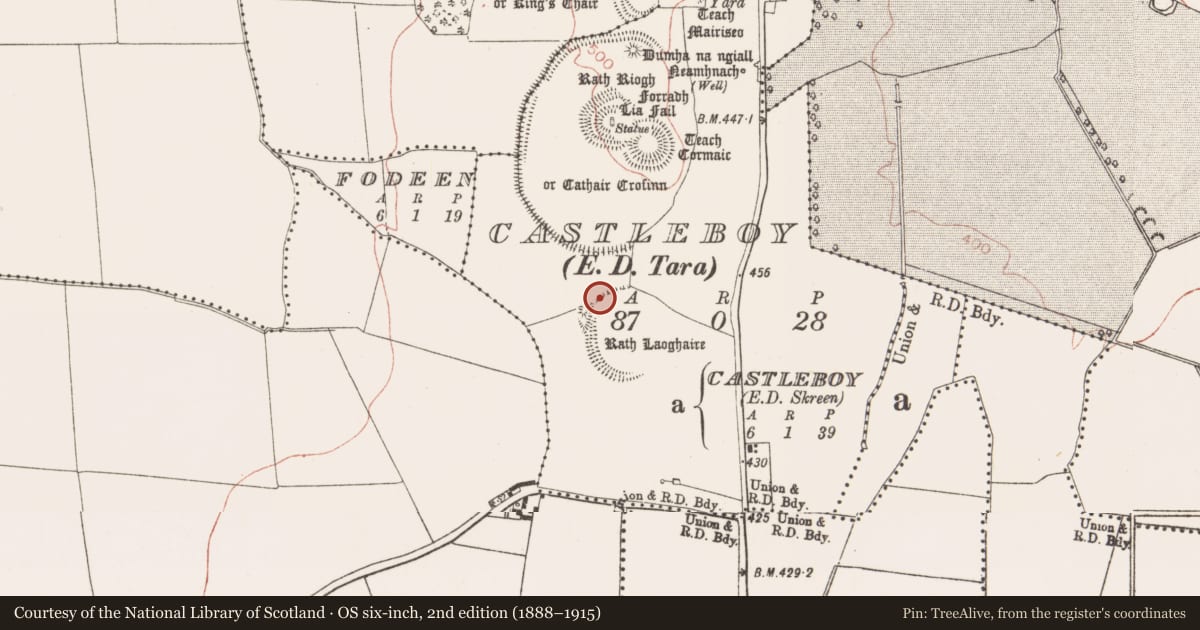 Ordnance Survey six-inch map, 2nd edition (1888–1915) covering the location of Ring-ditch, Castleboy (Skreen By., Tara Par.), County Meath, with a pin at the register's coordinates