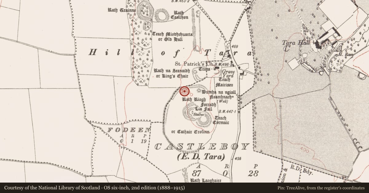 Ordnance Survey six-inch map, 2nd edition (1888–1915) covering the location of Mound, Castleboy (Skreen By., Tara Par.), County Meath, with a pin at the register's coordinates