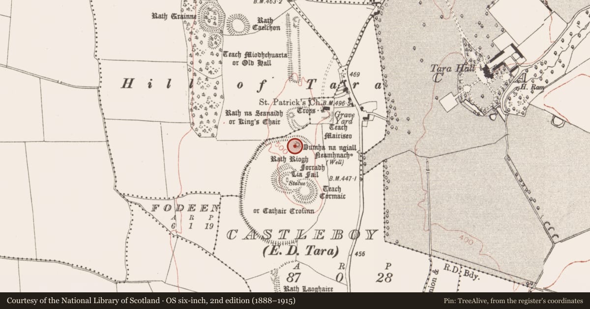 Ordnance Survey six-inch map, 2nd edition (1888–1915) covering the location of Megalithic tomb - passage tomb, Castleboy (Skreen By., Tara Par.), County Meath, with a pin at the register's coordinates