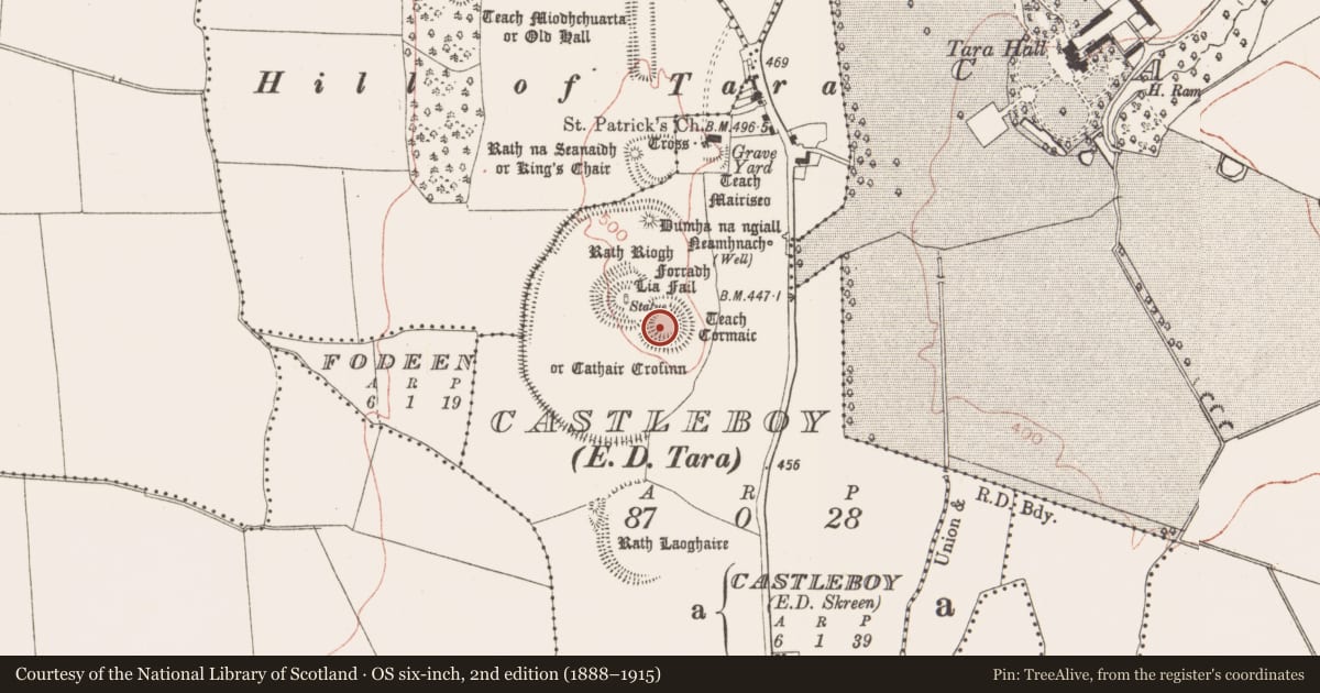 Ordnance Survey six-inch map, 2nd edition (1888–1915) covering the location of Ringfort - rath, Castleboy (Skreen By., Tara Par.), County Meath, with a pin at the register's coordinates