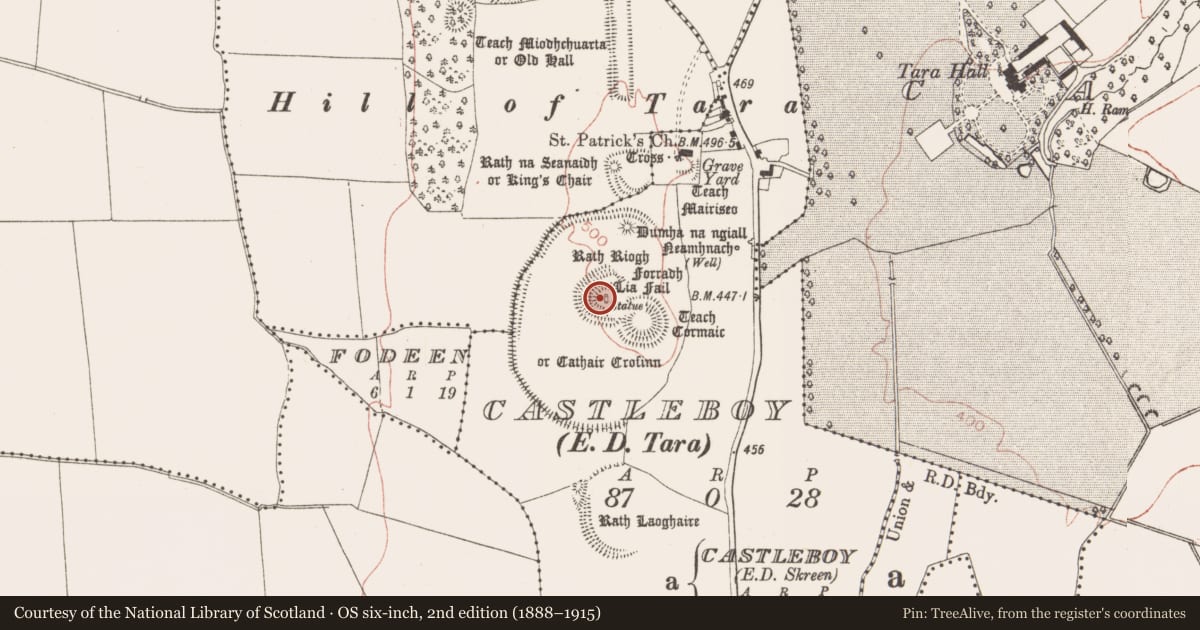 Ordnance Survey six-inch map, 2nd edition (1888–1915) covering the location of Standing stone (present location), Castleboy (Skreen By., Tara Par.), County Meath, with a pin at the register's coordinates