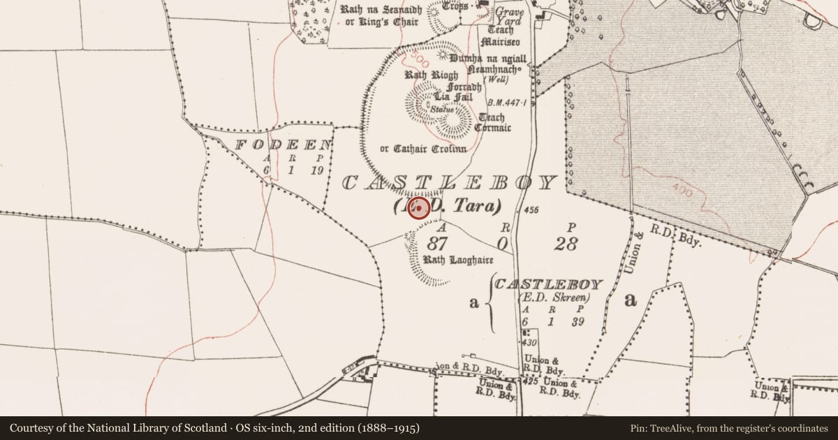 Ordnance Survey six-inch map, 2nd edition (1888–1915) covering the location of Ring-ditch, Castleboy (Skreen By., Tara Par.), County Meath, with a pin at the register's coordinates