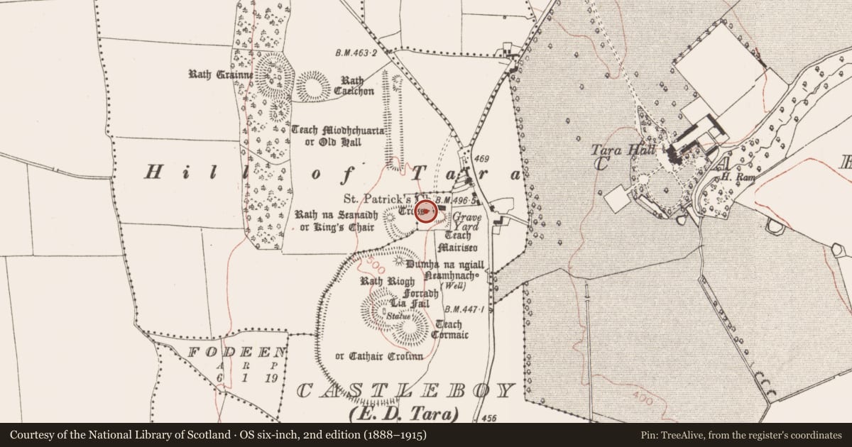 Ordnance Survey six-inch map, 2nd edition (1888–1915) covering the location of Sheela-na-gig, Castleboy (Skreen By., Tara Par.), County Meath, with a pin at the register's coordinates