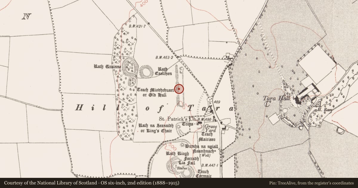 Ordnance Survey six-inch map, 2nd edition (1888–1915) covering the location of Linear earthwork, Castletown Tara, County Meath, with a pin at the register's coordinates