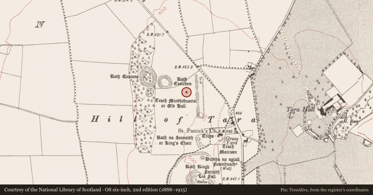 Ordnance Survey six-inch map, 2nd edition (1888–1915) covering the location of Barrow - unclassified, Castletown Tara, County Meath, with a pin at the register's coordinates