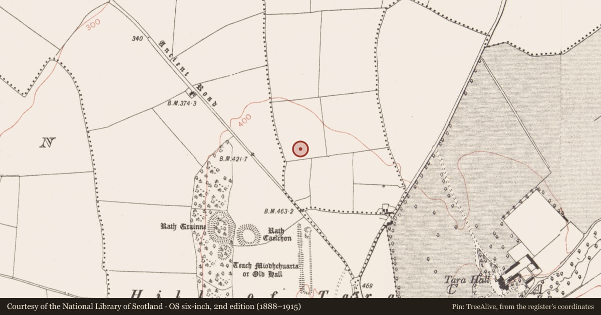 Ordnance Survey six-inch map, 2nd edition (1888–1915) covering the location of Enclosure, Jordanstown, County Meath, with a pin at the register's coordinates