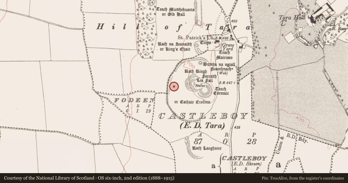 Ordnance Survey six-inch map, 2nd edition (1888–1915) covering the location of Ring-ditch, Castleboy (Skreen By., Tara Par.), County Meath, with a pin at the register's coordinates
