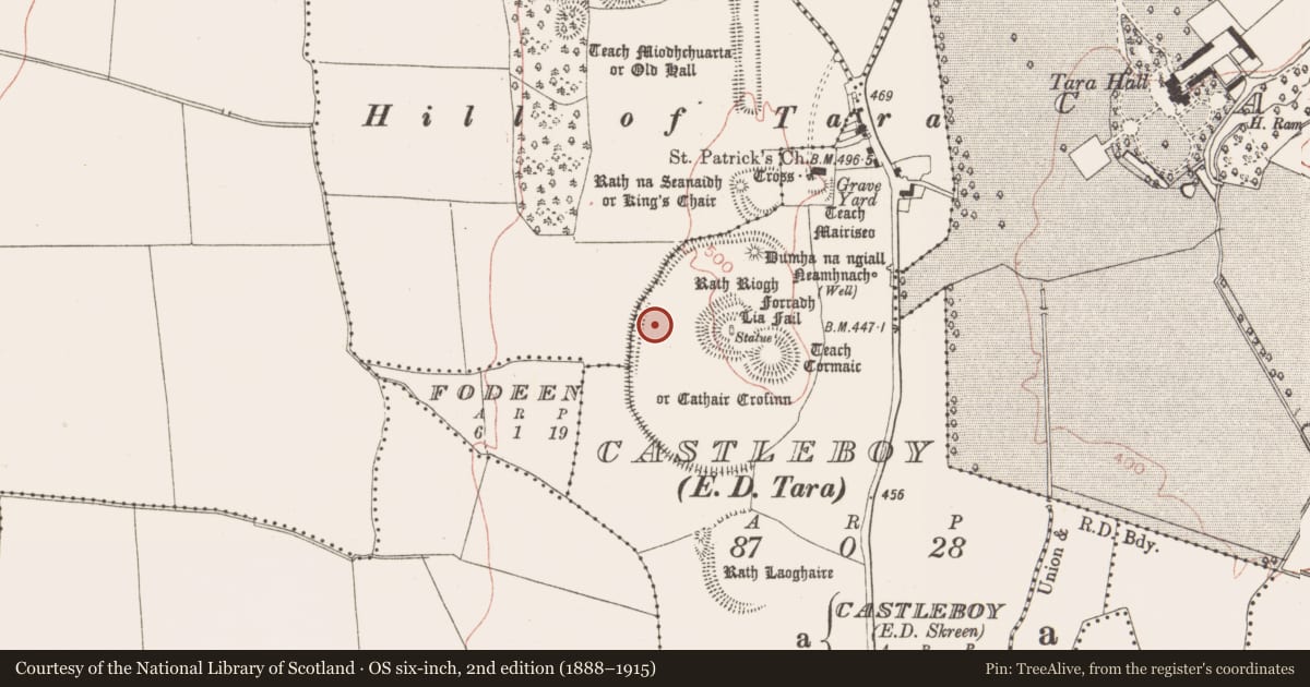 Ordnance Survey six-inch map, 2nd edition (1888–1915) covering the location of Ring-ditch, Castleboy (Skreen By., Tara Par.), County Meath, with a pin at the register's coordinates