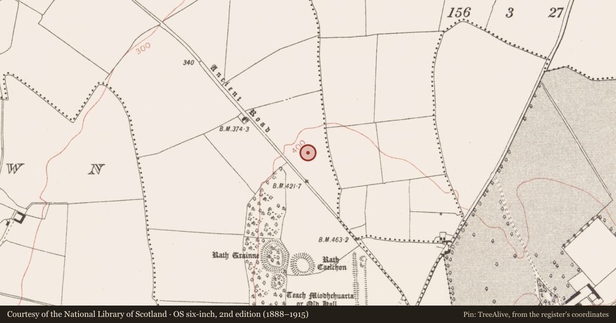 Ordnance Survey six-inch map, 2nd edition (1888–1915) covering the location of Enclosure, Castletown Tara, County Meath, with a pin at the register's coordinates