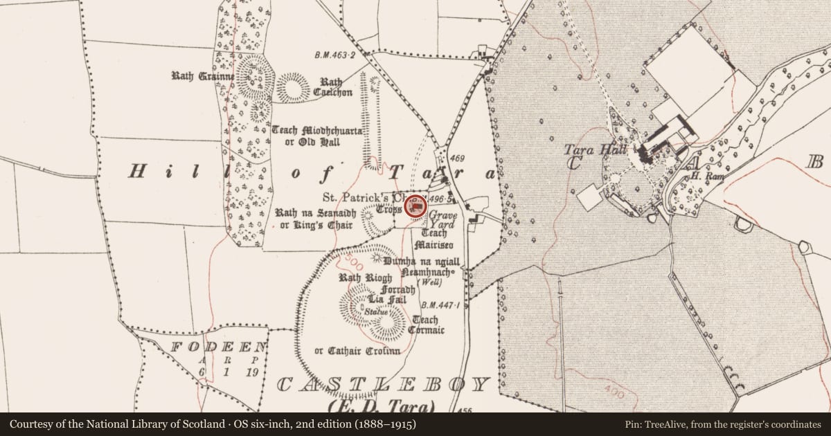Ordnance Survey six-inch map, 2nd edition (1888–1915) covering the location of Font, Castleboy (Skreen By., Tara Par.), County Meath, with a pin at the register's coordinates