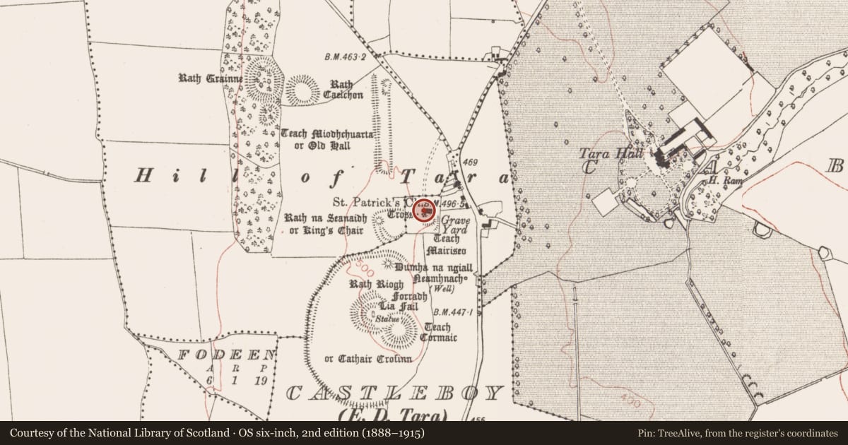 Ordnance Survey six-inch map, 2nd edition (1888–1915) covering the location of Stone sculpture (present location), Castleboy (Skreen By., Tara Par.), County Meath, with a pin at the register's coordinates