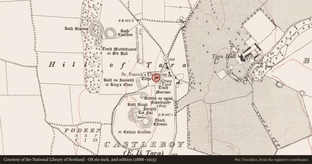 Ordnance Survey six-inch map, 2nd edition (1888–1915) covering the location of Wall monument, Castleboy (Skreen By., Tara Par.), County Meath, with a pin at the register's coordinates