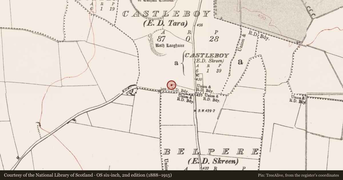 Ordnance Survey six-inch map, 2nd edition (1888–1915) covering the location of Well, Castleboy (Skreen By., Tara Par.), County Meath, with a pin at the register's coordinates
