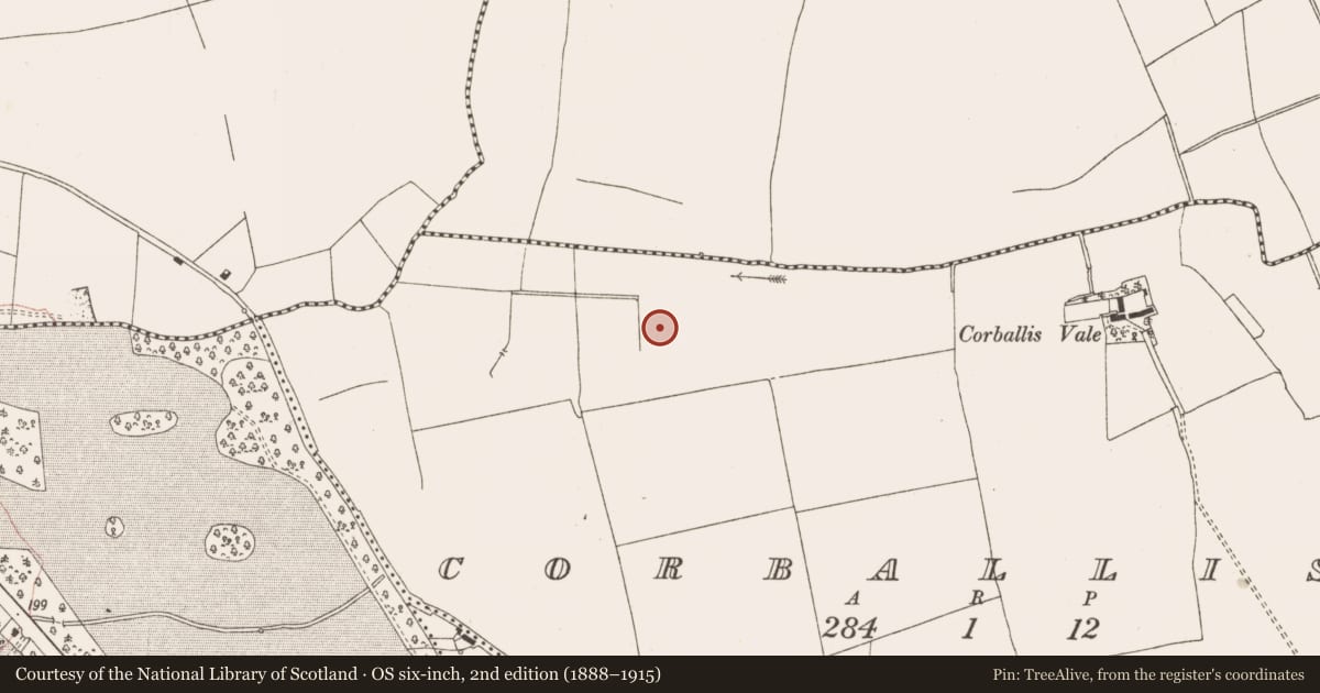Ordnance Survey six-inch map, 2nd edition (1888–1915) covering the location of Field system, Oldtown, Corballis, County Meath, with a pin at the register's coordinates