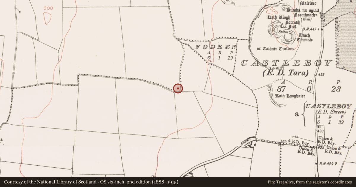 Ordnance Survey six-inch map, 2nd edition (1888–1915) covering the location of Barrow - unclassified, Riverstown, County Meath, with a pin at the register's coordinates