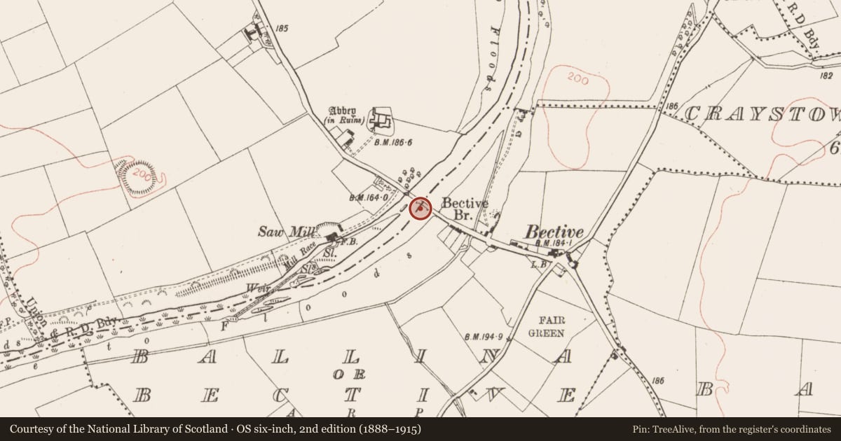 Ordnance Survey six-inch map, 2nd edition (1888–1915) covering the location of Bridge, Ballina Or Bective, Bective, County Meath, with a pin at the register's coordinates